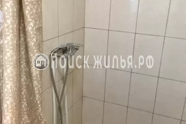 «Кот и овсянка»