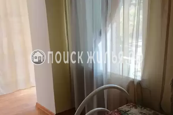 «Кот и овсянка»