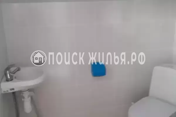 «Кот и овсянка»