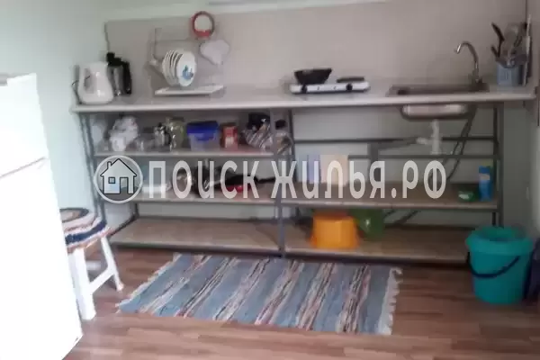 «Кот и овсянка»