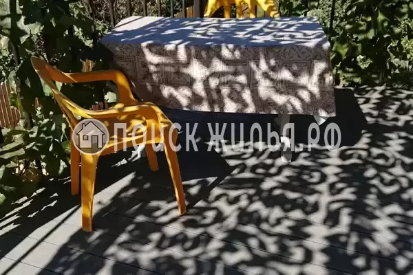 «Кот и овсянка»