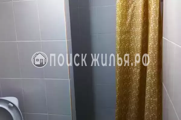 «Кот и овсянка»