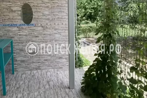 «Кот и овсянка»