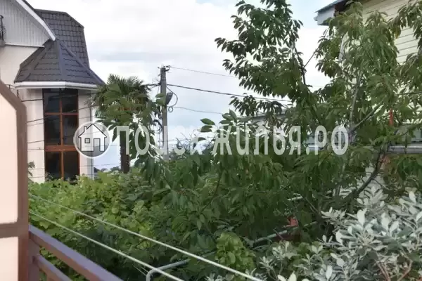 «В гостях у мамы Оли» «В гостях у мамы Оли»