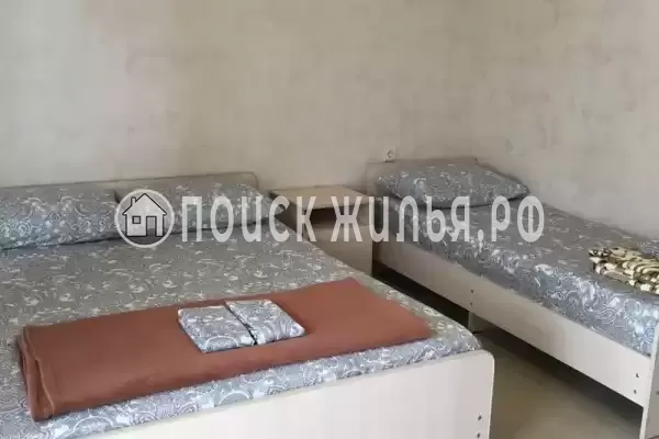 «Новый сезон»