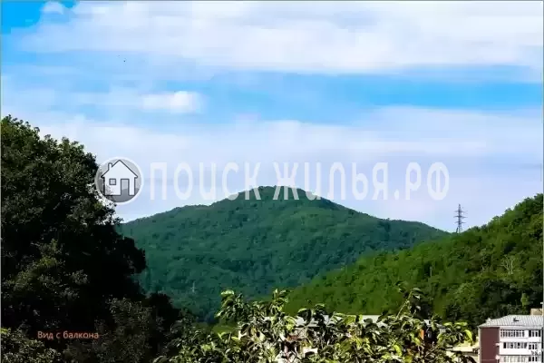 «Новый сезон»