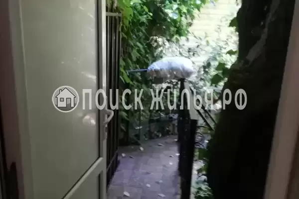 «Под пальмами»