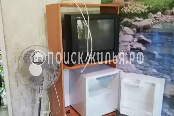 «Под пальмами»