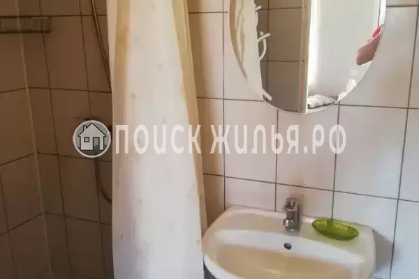 «Под пальмами»