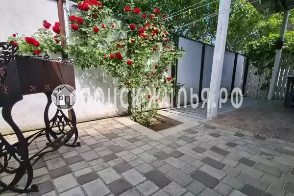 «Businka» «Businka»