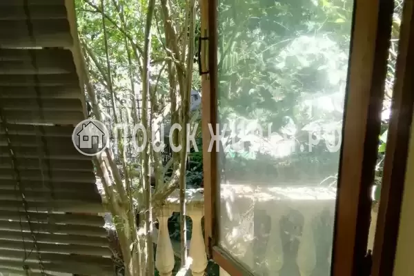 «Под пальмами»