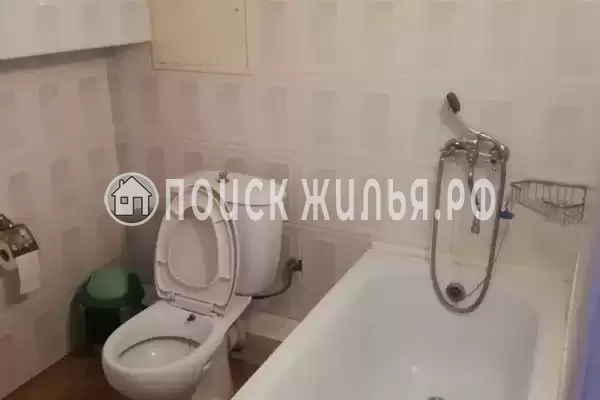 «Под пальмами»