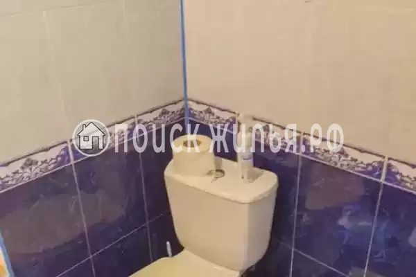 «Зеленый уголок» «Зеленый уголок»