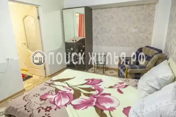 «Зеленый уголок» «Зеленый уголок»