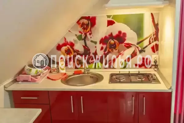 «Зеленый уголок» «Зеленый уголок»