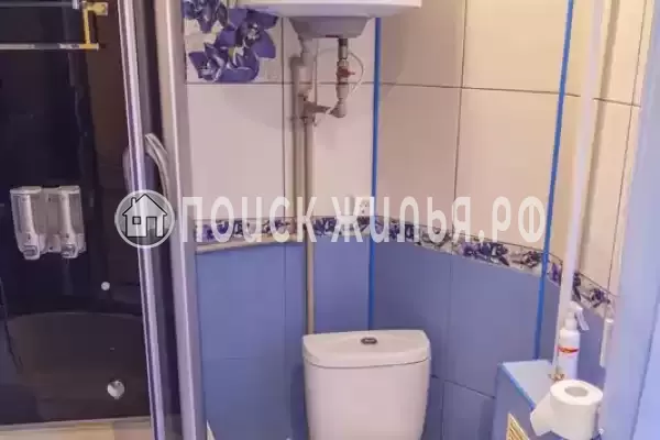 «Зеленый уголок» «Зеленый уголок»