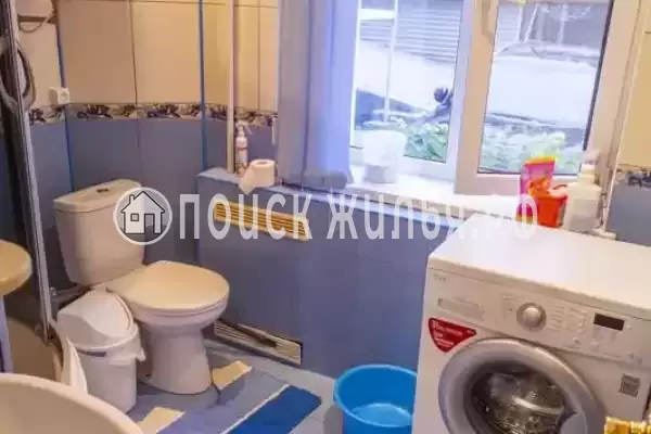 «Зеленый уголок» «Зеленый уголок»