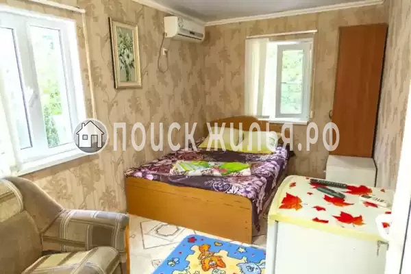 «Зеленый уголок» «Зеленый уголок»