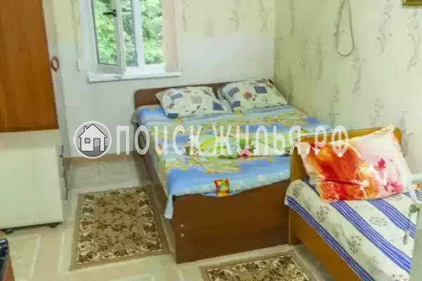 «Зеленый уголок» «Зеленый уголок»