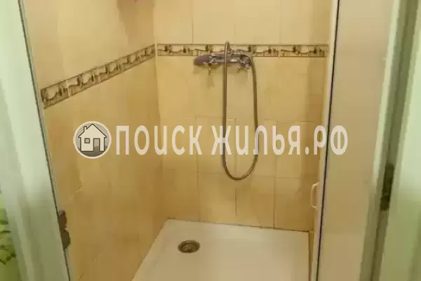 «Зеленый уголок» «Зеленый уголок»