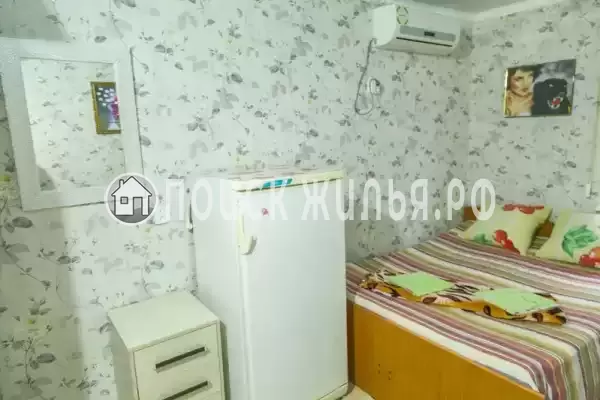 «Зеленый уголок» «Зеленый уголок»