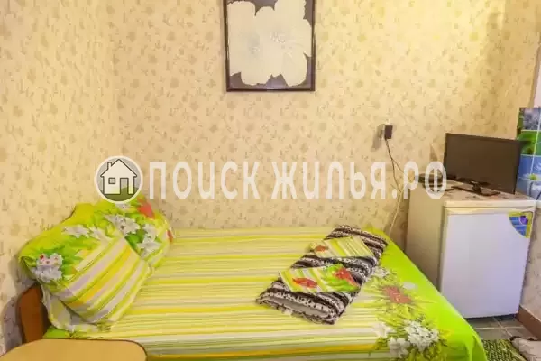 «Зеленый уголок» «Зеленый уголок»