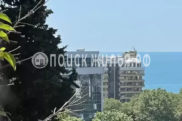 «Центральный» «Центральный»