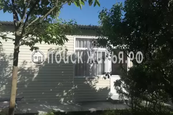 «Пальмира» «Пальмира»