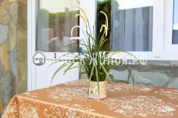 «Роза» «Роза»