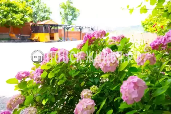 «Роза» «Роза»