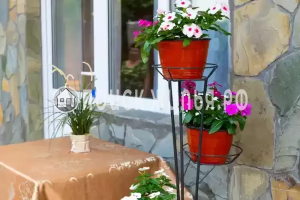 «Роза» «Роза»