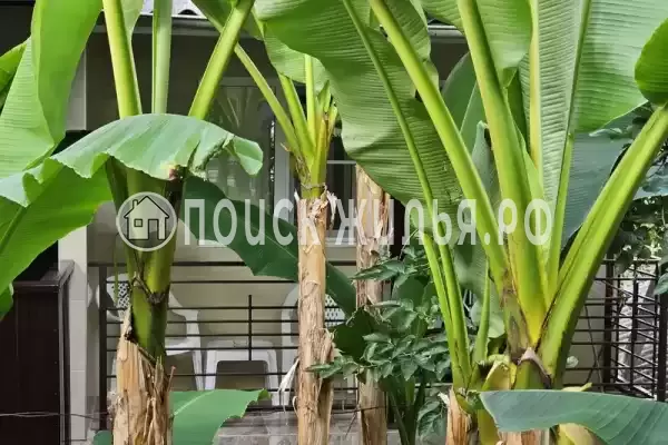 Частный сектор «Санрайз»