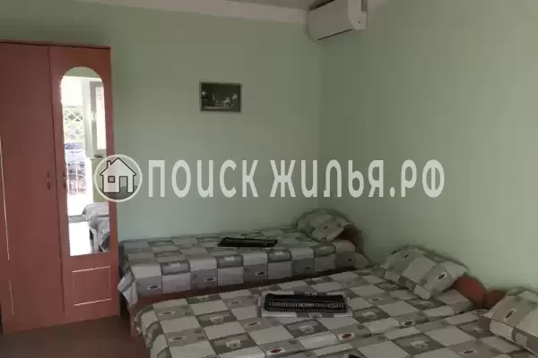 «Виноградная лоза»