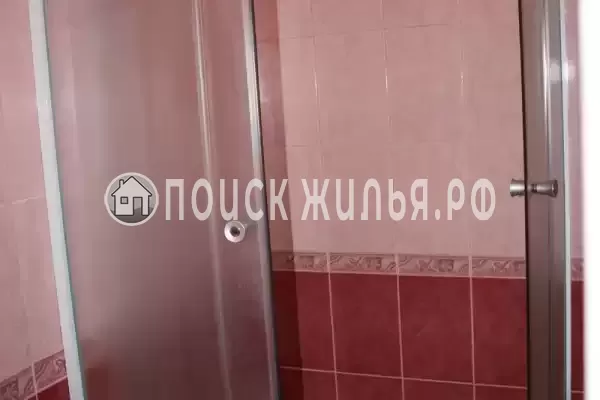 «Виноградная лоза»