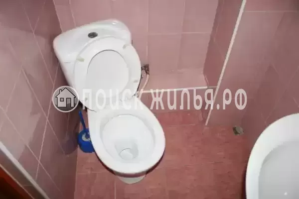 «Виноградная лоза»