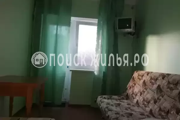 «Виноградная лоза»