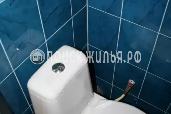 «Виноградная лоза»