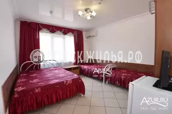 «Береговой» «Береговой»