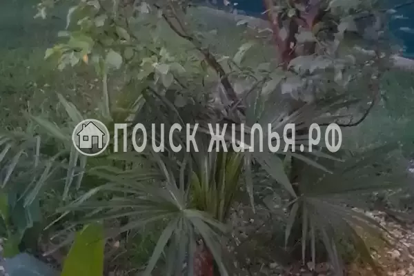 Частный сектор «Коттеджи У Люси» Частный сектор «Коттеджи У Люси»