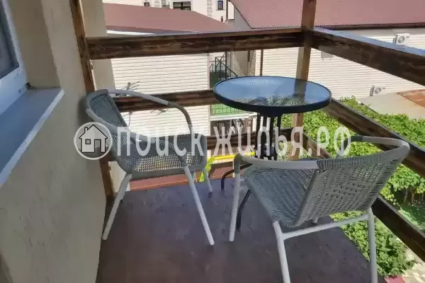 «Art-house» «Art-house»