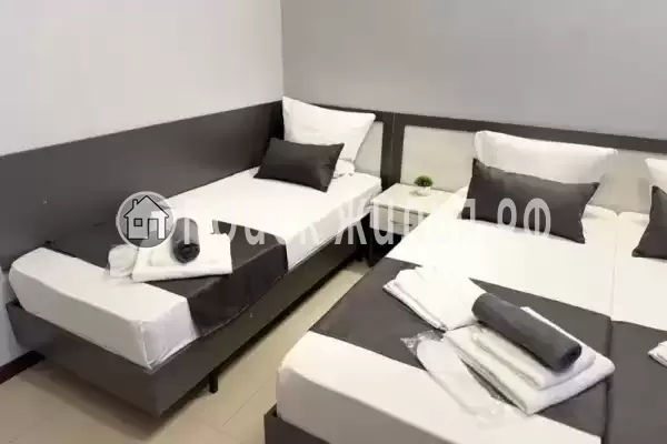 «Южная роза»