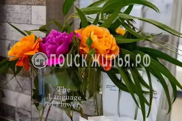 Гостевой дом «Мэри»