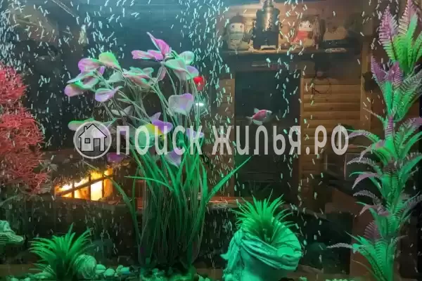 «Бриз» «Бриз»