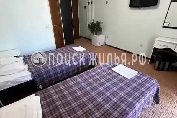 «Пани София»