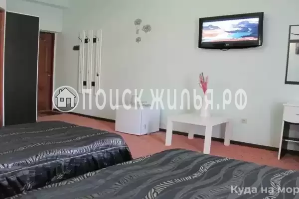 «Пани София»