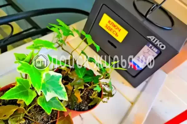 «Белый Кот»