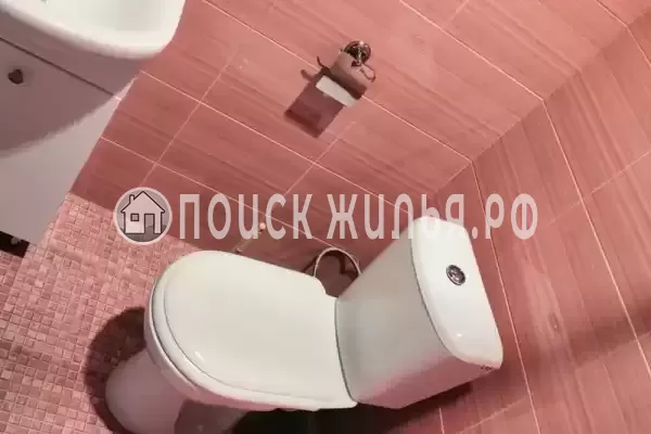 «Белый Кот»