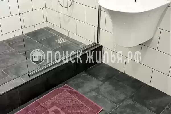 «Елки-палки» «Елки-палки»