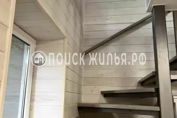 «Елки-палки» «Елки-палки»