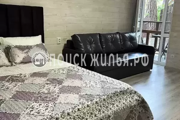 «Елки-палки» «Елки-палки»